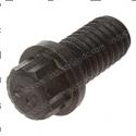 Picture of Bolt - 12 Point