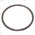 Picture of Retaining Ring