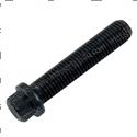 Picture of Bolt - 12pt Flange