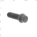 Picture of Bolt