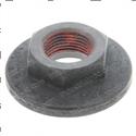 Picture of Nut