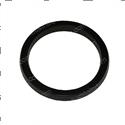 Picture of Seal - Ucup