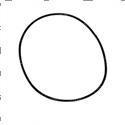 Picture of O-Ring