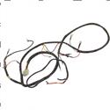 Picture of Harness