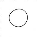 Picture of O-Ring