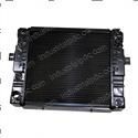 Picture of Radiator Assy