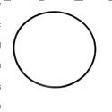 Picture of O-Ring