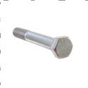 Picture of Bolt