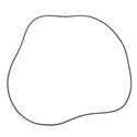 Picture of O Ring