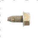 Picture of Bolt 5