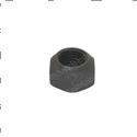 Picture of Nut