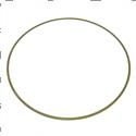 Picture of Ring - Support