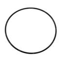 Picture of O-Ring