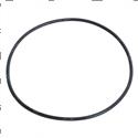 Picture of O-Ring