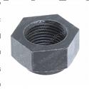 Picture of Nut