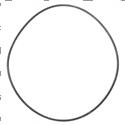 Picture of O-Ring