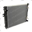 Picture of Radiator Anticlog