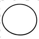 Picture of O - Ring