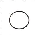 Picture of O-Ring