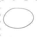 Picture of O-Ring