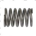 Picture of Spring- Valve Compre