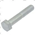 Picture of Bolt