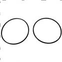 Picture of O-Ring