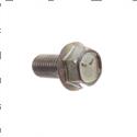 Picture of Bolt - Hex Flange