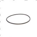 Picture of O-Ring