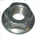 Picture of Nut