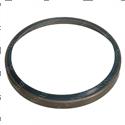 Picture of Seal Ring