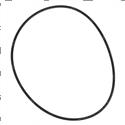 Picture of O-Ring