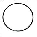 Picture of Ring - Back Up