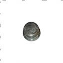 Picture of Plug