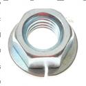 Picture of Nut
