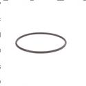 Picture of O-Ring