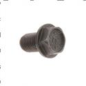 Picture of Bolt
