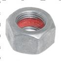 Picture of Nut