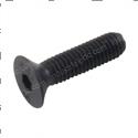 Picture of Capscrew - Flat Socket