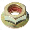 Picture of Nut