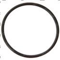 Picture of O-Ring