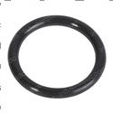 Picture of O-Ring