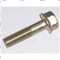 Picture of Bolt