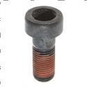 Picture of Screw - Socket Cap