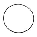 Picture of O-Ring