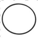 Picture of O-Ring