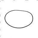 Picture of O-Ring
