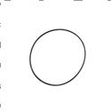 Picture of O-Ring