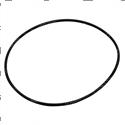 Picture of O-Ring