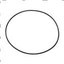 Picture of O-Ring